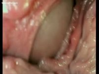 Video camera embedded in a pussy captures an internal cumshot